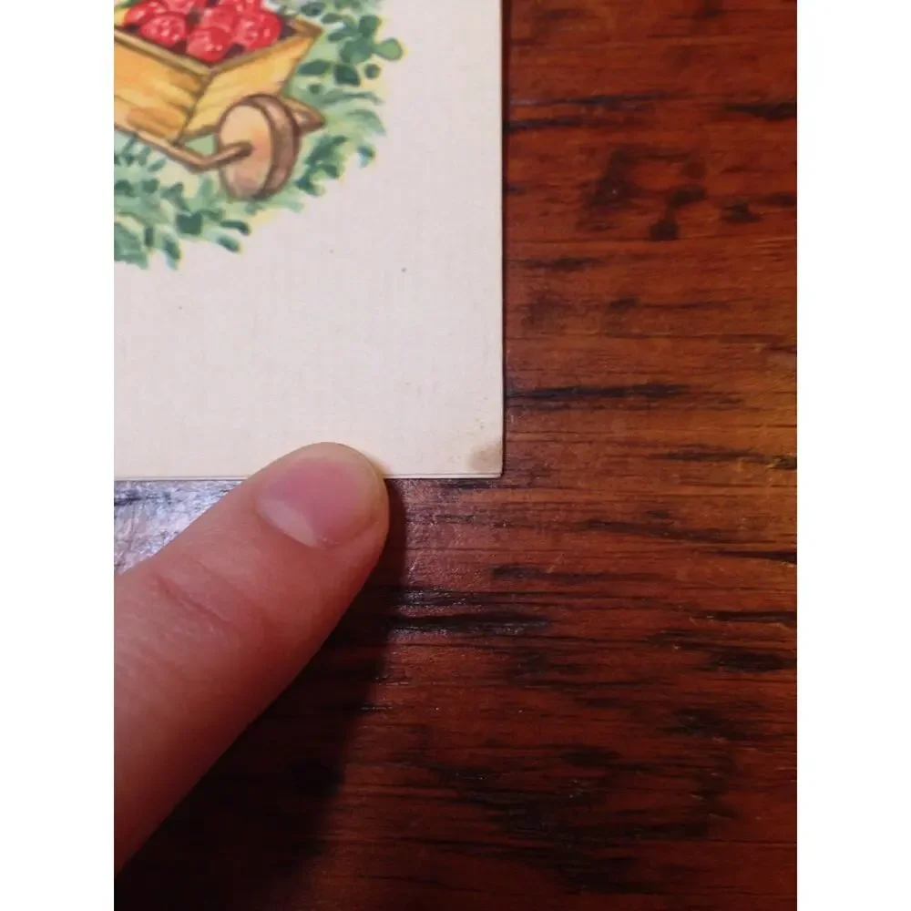 Vintage 1940s Brownie Squirrel Strawberry Farmer Blank Greeting Card Unused